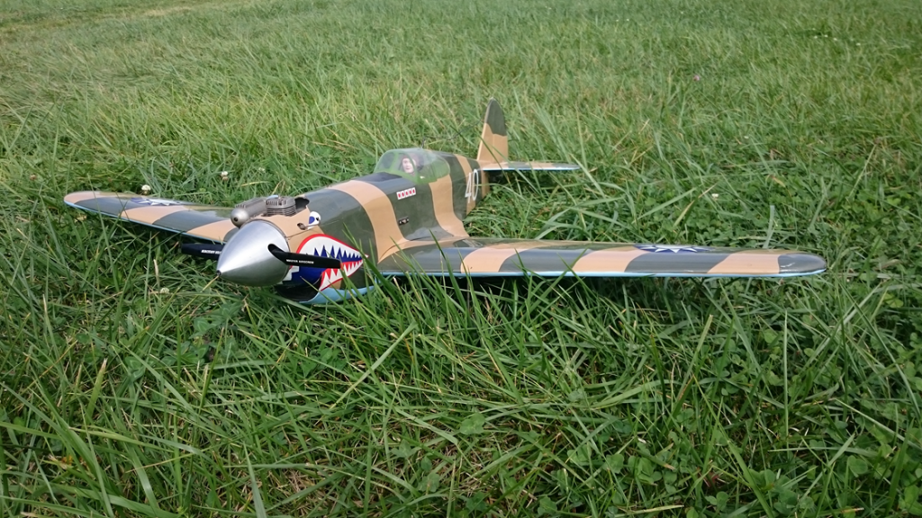 P51 Mustang flyer